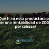 ¿Qué hizo esta productora para tener una rentabilidad de 200 USD por cabeza?