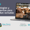 Metodologías y herramientas para un feedlot rentable