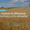 Preliminar de la fina: ¿En donde hicieron la diferencia los productores esta campaña?