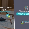 Proyección Impositiva, la forma que encontramos para optimizar el pago de ganancias.