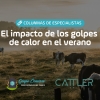 El impacto de los golpes de calor en el verano