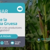 Cierre de Gruesa:  ¿Qué me conviene hacer para tener más ganancias?