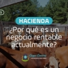 Hacienda: ¿Por qué es un negocio rentable actualmente?